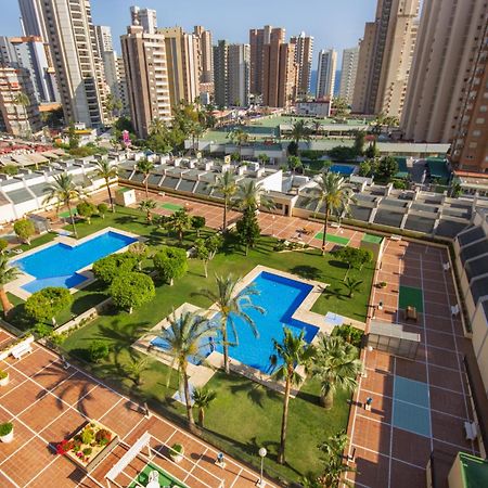 Gemelos 20 بينايدورم المظهر الخارجي الصورة
